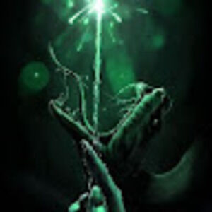 Meet your Posher, Anyi